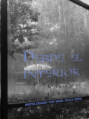 cover image of Desde el interior
